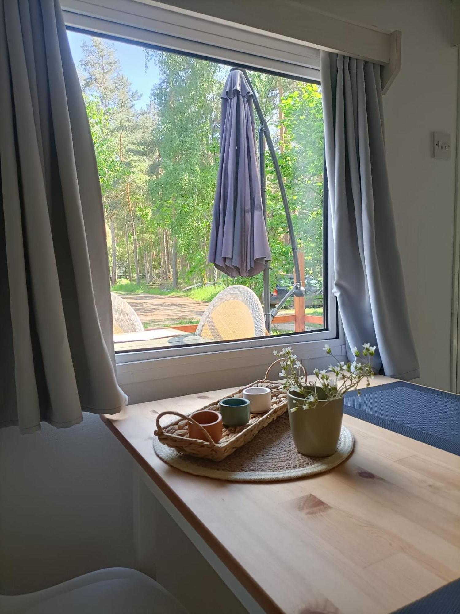 Tinyhaus Idyllisch Am Waldesrand Hotell Cottbus Eksteriør bilde