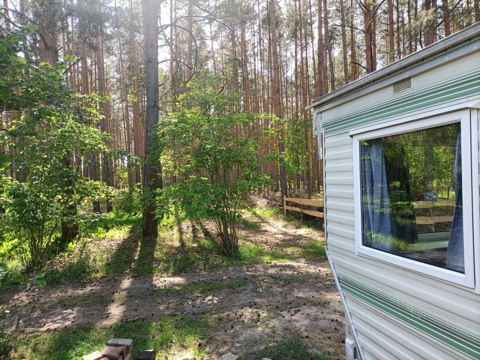 Tinyhaus Idyllisch Am Waldesrand Hotell Cottbus Eksteriør bilde